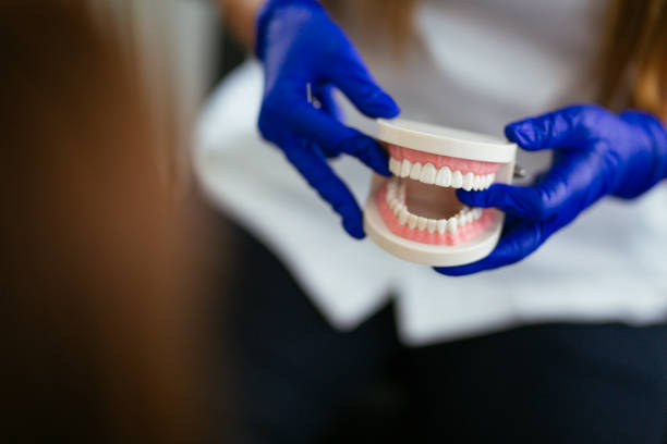 Best Dental Exams and Cleanings  in Rushvle, IL